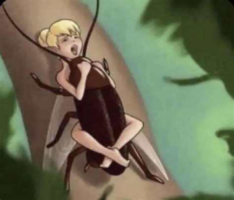 Bug tickles man's 10-Pou. . Insect porn